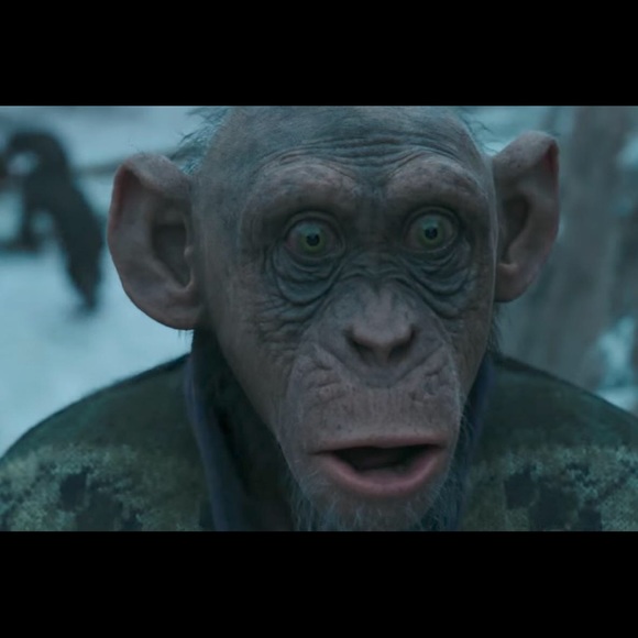 Meet your Posher, David - Picture 1 of 1